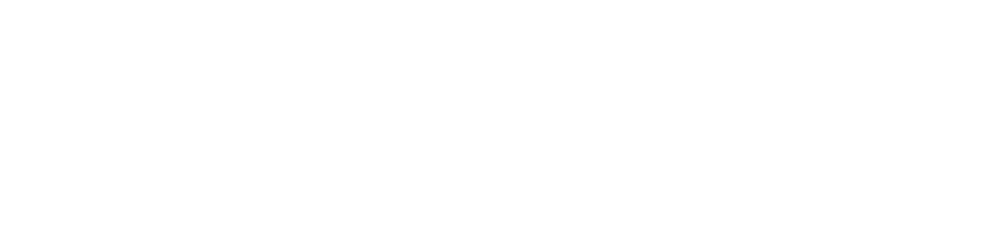 יש משהו קסום ברגע שבו אדם ועץ נפגשים. שם אני נכנס